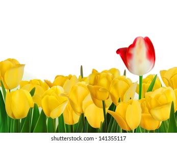 Yellow tulips and one red. And also includes EPS 8 vector