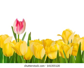 Yellow tulips and one red. And also includes EPS 8 vector