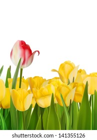 Yellow tulips and one red. And also includes EPS 8 vector