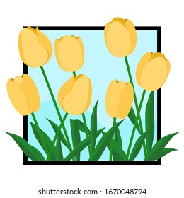 Yellow tulips in the picture frame, tulips and the leaves emerge from the picture frame, vector illustor, for interior decoration, the picture frame is black, the tulip is a minimal style.