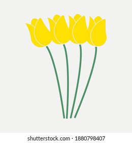 Yellow tulips vector art and graphics