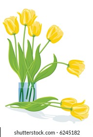 Yellow tulips. Vector illustration