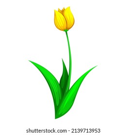 Yellow Tulips Vector Isolated on White Background