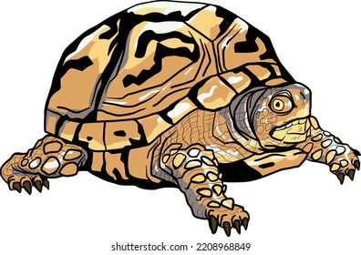 Yellow turtle vectors art style drawing artistic