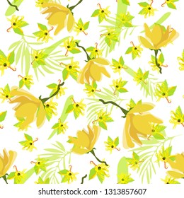 yellow vanilla flowers sketch  ylang-ylang oil. Floral organic pattern. Tropical illustration. On a white background