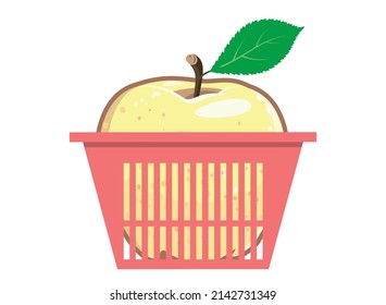 Yellow vector apple with a leaf in a grocery basket. Juicy fruit isolated on white. Jonagold 