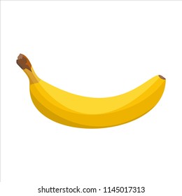 Yellow vector banana