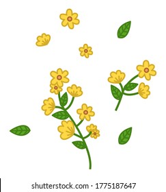 Ilustración de flores vectoriales amarillas aisladas en fondo blanco. Elemento de floración de primavera para las necesidades de diseño de tarjetas. Rama verde con flores y hojas pequeñas. Huerto ornamental o planta silvestre