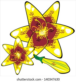 yellow vector lily isolated on white background