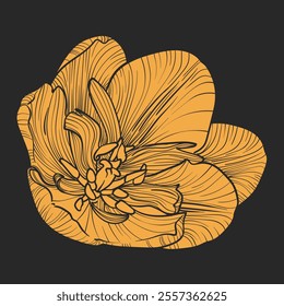 Yellow vector tulip blossom on dark gray background. Square design with a simple tulip flat vector design. Hand drawn fill only of a beautiful spring flower. No outlines. 