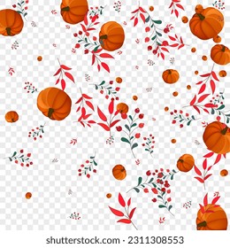 Yellow Vegetable Background Transparent Vector. Gold Invitation Frame. Burgundy Pumpkin Oak Template. Rowan Pumpkins. Graphic Banner.