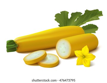 Yellow vegetable marrow with slices, flower and leaf. Isolated on white background. Realistic vector illustration.
