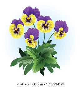 黄色い紫色のパンジーヴィオラの花イラストベクター画像 のベクター画像素材 ロイヤリティフリー Shutterstock 黄色い紫色のパンジーヴィオラの花イラストベクター画像 のベクター画像素材 ロイヤリティフリー Shutterstock