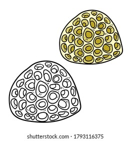 Yellow volume sponge coloring book linear drawing isolated on white background