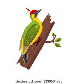 Yellow Wagtail. Funny Alphabet, Animal Vector Illustration