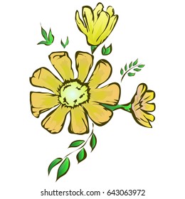 Yellow watercolor chamomile flower. Vector illustration