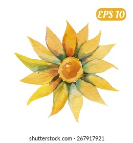 Yellow Watercolor Flower Stock Vector (Royalty Free) 267917921