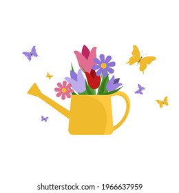 Yellow watering can with flowers isolated on white. Butterflies flying near watering can with tulips and chamomile 