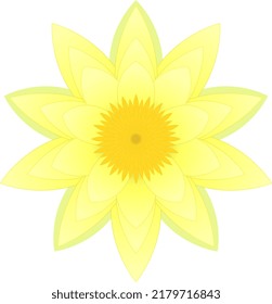 A yellow waterlily, stylized, vector.