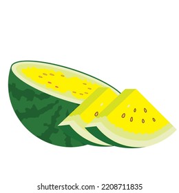 Yellow watermelon fruit vector illustration