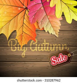 Yellow wet autumn leaves Sale poster on the background a dark old wood. EPS 10 vector file included