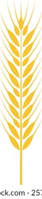 Yellow wheat ear symbolizing the essence of harvest and agriculture, representing healthy eating and organic food production against a clean white background