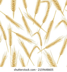 Yellow wheat ears isolated on white background