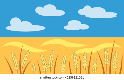 Yellow wheat field and blue sky, vector illustration