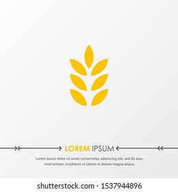 Yellow wheat oat agriculture icon Logo design Template. Can be used for bread, organic, nutrition element. Vector Illustration