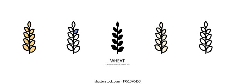 yellow wheat vector type icon