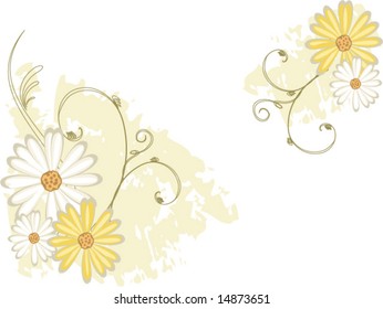 yellow and white daisy vector background