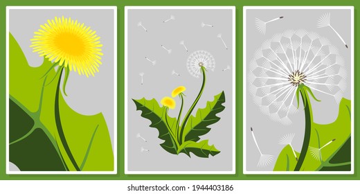 yellow and white dandelions  wall art vector set, for wall art, poster, wallpaper, print