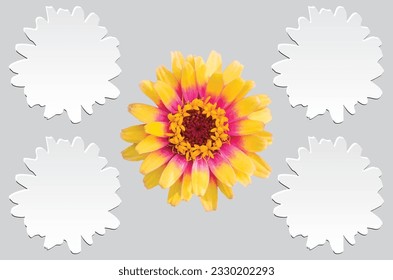 yellow and white flower vector design