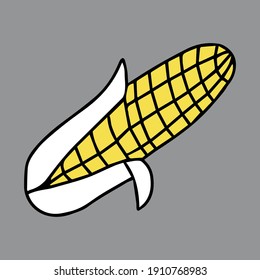 Yellow and white Hand-drawn outline vector illustration of a corn isolated on a gray background for holiday or dinner for cooking book