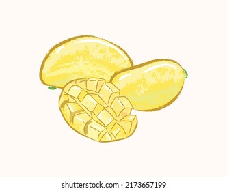 Yellow whole, sliced and cube mango in vector flat illustration art design
