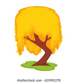Yellow willow tall tree on green grass land spot isolated