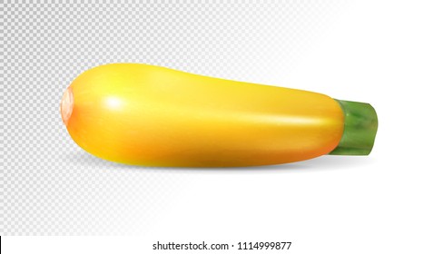 Yellow zucchini vegetable. Realistic vector on transparent background, 3d illustration
