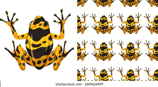 Yellow-banded poison dart frog isolated on white background and seamless illustration