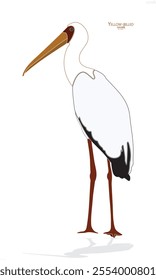 Yellow-billed stork, bird, animal, unique, icon, bird icon
