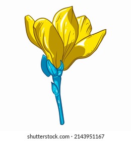 Flor amarillo-azul. Ilustración botánica de vector dibujado a mano. Concepto de bandera de Ucrania, paz en Ucrania