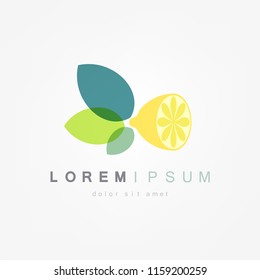 Yellowe lemons with leaves. Collection of different fresh lemons.