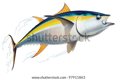 Yellowfin tuna in fast motion. Realistic vector illustration.