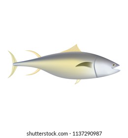 Yellowfin tuna fish mockup. Realistic illustration of yellowfin tuna fish vector mockup for web design isolated on white background