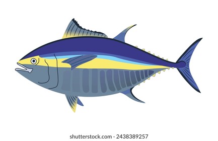 Atún rabil. Ilustración vectorial realista.