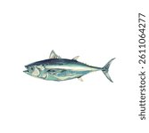 yellowfin tuna fish vector illustration without background