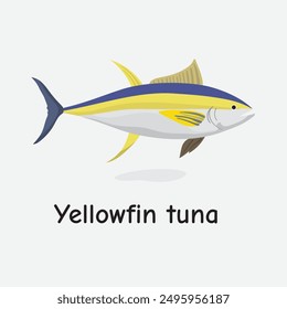 Yellowfin Tuna Vector Illustration: Edible Marine Fish