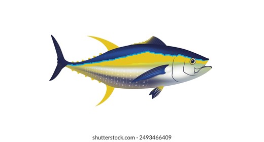 Yellowfin vector, Tuna fish vector illustration. Tuna fishing, game fishing logo. fish vector.