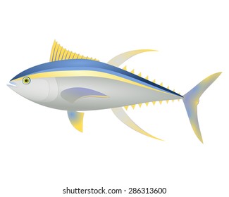 Yellowfish tuna vector Yellow and blue striped sea animal realistic character with long fins Ocean animal albacore tuna Sea life thunnus fish for illustration, t shirt stamp, animal, wildlife design