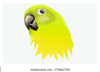 Yellowish green feathered parrot hand drawing