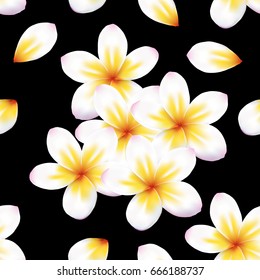Yellowish white plumeria flowers on black background, seamless vector illustration